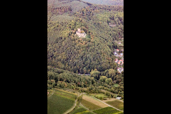 Burg Landeck in Klingenmünster im Bundesland Rheinland-Pfalz, Deutschland aus der Luft betrachtet
