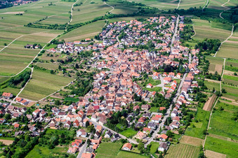 Luftbild von Ortsansicht der Straßen und Häuser der Wohngebiete im Ortsteil Arzheim in Landau in der Pfalz im Bundesland Rheinland-Pfalz, Deutschland