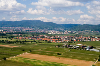 Mußbach von Osten in Neustadt an der Weinstraße im Bundesland Rheinland-Pfalz, Deutschland