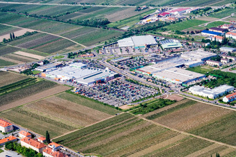 Luftbild von Globus in Neustadt an der Weinstraße im Bundesland Rheinland-Pfalz, Deutschland