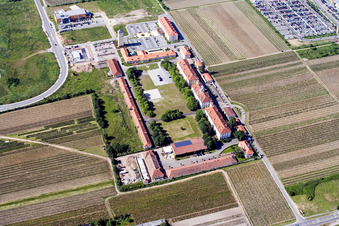 Le Quartier-Hornbach in Neustadt an der Weinstraße im Bundesland Rheinland-Pfalz, Deutschland vom Flugzeug aus