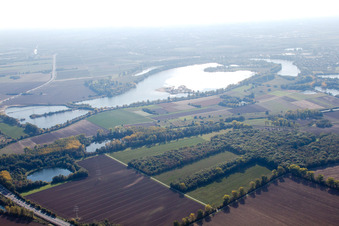 Silbersee im Ortsteil Petersau in Bobenheim-Roxheim im Bundesland Rheinland-Pfalz, Deutschland