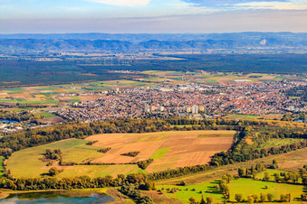 Naturschutzgebiet Bodensand inmitten des Lampertheimer Altrheins im Bundesland Hessen, Deutschland