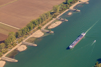 Buhnen bei Niedrigwasser am Rhein in Lampertheim im Bundesland Hessen, Deutschland