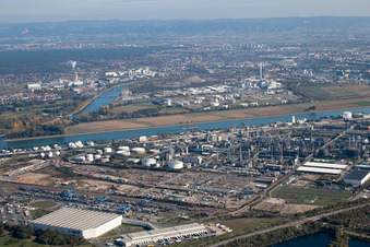 Luftbild von Ortsteil BASF in Ludwigshafen am Rhein im Bundesland Rheinland-Pfalz, Deutschland