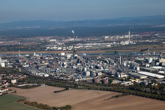BASF Nord in Ludwigshafen am Rhein im Bundesland Rheinland-Pfalz, Deutschland vom Flugzeug aus
