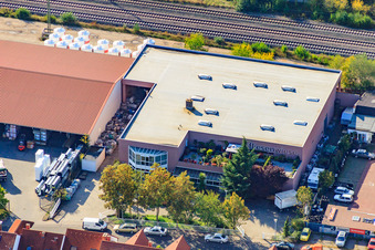 Fliesenwiese im Ortsteil Bobenheim in Bobenheim-Roxheim im Bundesland Rheinland-Pfalz, Deutschland