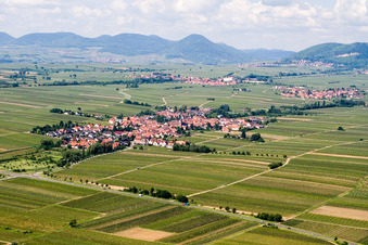 Dorf - Ansicht am Rande von Weinbergen in Roschbach im Bundesland Rheinland-Pfalz, Deutschland