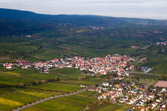 Dorf - Ansicht am Rande von Weinbergen und Nutzflächen im Ortsteil Ungstein in Bad Dürkheim im Bundesland Rheinland-Pfalz, Deutschland