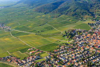 Weinlage Forster Pechstein in Forst an der Weinstraße im Bundesland Rheinland-Pfalz, Deutschland