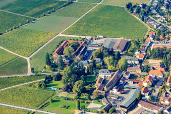 Weingut Villa Wolf und Dr. Bürklin-Wolf in Wachenheim an der Weinstraße im Bundesland Rheinland-Pfalz, Deutschland