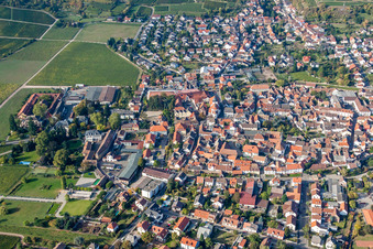 Ortsansicht der Straßen und Häuser der Wohngebiete in Wachenheim an der Weinstraße im Bundesland Rheinland-Pfalz, Deutschland