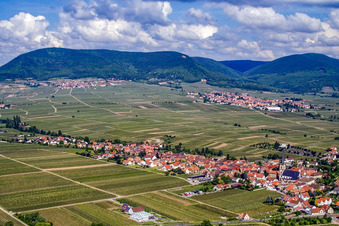 Weinberge zwischen Burrweiler und Edesheim im Bundesland Rheinland-Pfalz, Deutschland
