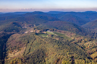Odinstal, höchstes Weingut der Pfalz in Wachenheim an der Weinstraße im Bundesland Rheinland-Pfalz, Deutschland