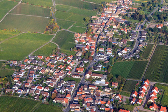 Weinstraße in Forst an der Weinstraße im Bundesland Rheinland-Pfalz, Deutschland