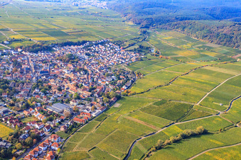 Winzerstadt von Norden in Deidesheim im Bundesland Rheinland-Pfalz, Deutschland