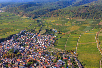Luftbild von Winzerstadt von Norden in Deidesheim im Bundesland Rheinland-Pfalz, Deutschland