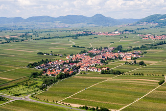 Luftbild von Dorf - Ansicht am Rande von Weinbergen in Roschbach im Bundesland Rheinland-Pfalz, Deutschland