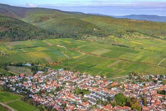 Weinlage Deidesheimer Maushöhle und Hohenmorgen im Bundesland Rheinland-Pfalz, Deutschland