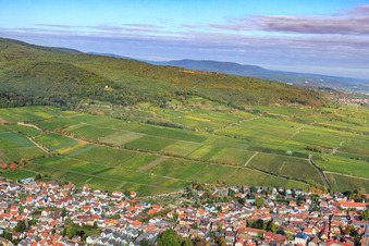 Luftbild von Weinlage Deidesheimer Maushöhle und Hohenmorgen im Bundesland Rheinland-Pfalz, Deutschland