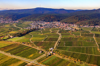 Deidesheimer Straße im Ortsteil Königsbach in Neustadt an der Weinstraße im Bundesland Rheinland-Pfalz, Deutschland