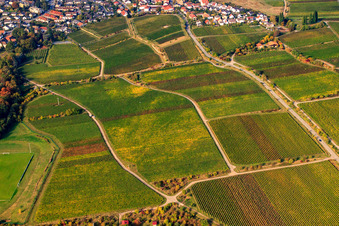 Wegekreuz am Harlenweg im Ortsteil Königsbach in Neustadt an der Weinstraße im Bundesland Rheinland-Pfalz, Deutschland