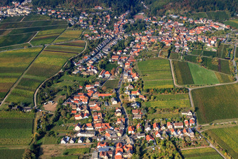 Luftbild von Kurpfalzstraße Loblocher Straße im Ortsteil Mußbach in Neustadt an der Weinstraße im Bundesland Rheinland-Pfalz, Deutschland