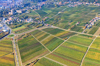 Schrägluftbild von Neustadt an der Weinstraße von Nordosten im Bundesland Rheinland-Pfalz, Deutschland