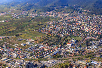 Hauptfriedhof in Neustadt an der Weinstraße im Bundesland Rheinland-Pfalz, Deutschland