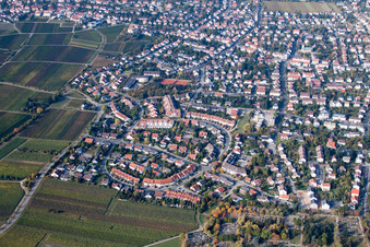 Maconring in Neustadt an der Weinstraße im Bundesland Rheinland-Pfalz, Deutschland