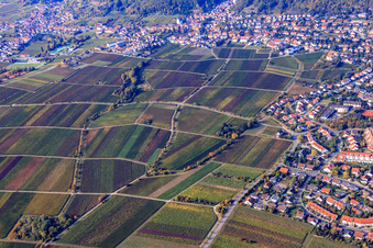 Wingert am Kändlerweg in Neustadt an der Weinstraße im Bundesland Rheinland-Pfalz, Deutschland