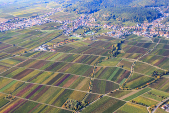 Vinothek Platz am Horstweg im Ortsteil Hambach an der Weinstraße in Neustadt an der Weinstraße im Bundesland Rheinland-Pfalz, Deutschland