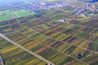 Landauer Straße im Ortsteil Hambach an der Weinstraße in Neustadt an der Weinstraße im Bundesland Rheinland-Pfalz, Deutschland