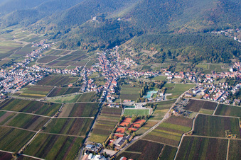 Felder einer Weinbergs- Landschaft der Winzer- Gebiete im Ortsteil Hambach in Neustadt an der Weinstraße im Ortsteil Hambach an der Weinstraße im Bundesland Rheinland-Pfalz, Deutschland