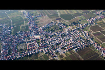 Panorama vom Ortsbereich und der Umgebung im Ortsteil Diedesfeld in Neustadt an der Weinstraße im Bundesland Rheinland-Pfalz, Deutschland
