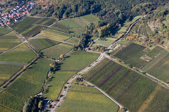 Kalmithöhenstr in Maikammer im Bundesland Rheinland-Pfalz, Deutschland