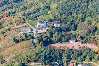 Sportplatz St. Martin im Ortsteil SaintMartin in Sankt Martin im Bundesland Rheinland-Pfalz, Deutschland