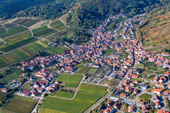 Maikammer im Ortsteil SaintMartin in Sankt Martin im Bundesland Rheinland-Pfalz, Deutschland