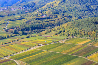 Luftbild von Klosterstraße zwischen Rebbergen in Edenkoben im Bundesland Rheinland-Pfalz, Deutschland