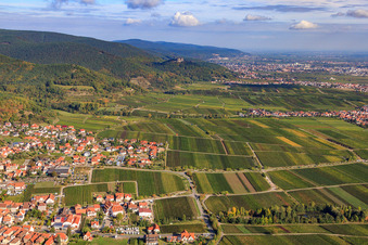 Blick zum Hambacher Schloß im Ortsteil SaintMartin in Sankt Martin im Bundesland Rheinland-Pfalz, Deutschland