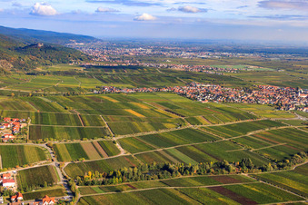 Stadtansicht mit Blick zum Hambacher Schloß in Maikammer im Bundesland Rheinland-Pfalz, Deutschland