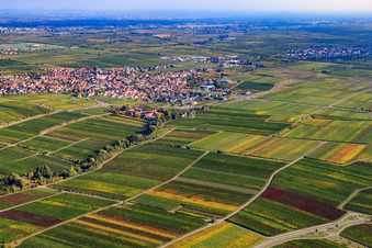 Stadtansicht von Südwesten am Rande von Rebbergen in Maikammer im Bundesland Rheinland-Pfalz, Deutschland
