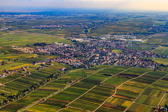 Stadtansicht von Südwesten in Edenkoben im Bundesland Rheinland-Pfalz, Deutschland