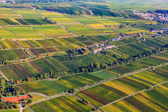 Klosterstr in Edenkoben im Bundesland Rheinland-Pfalz, Deutschland von oben