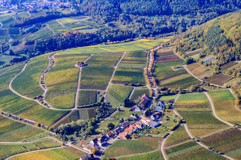 Luftaufnahme von Modenbachstr- in Weyher in der Pfalz im Bundesland Rheinland-Pfalz, Deutschland