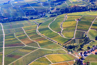 Michaelskapelle im Wingert in Weyher in der Pfalz im Bundesland Rheinland-Pfalz, Deutschland