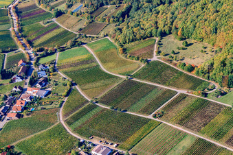 Weinberge am Haardtrand Hinkelberg in Weyher in der Pfalz im Bundesland Rheinland-Pfalz, Deutschland