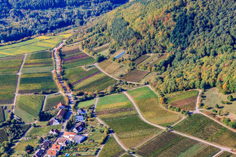 Luftbild von Weinberge am Haardtrand Hinkelberg in Weyher in der Pfalz im Bundesland Rheinland-Pfalz, Deutschland