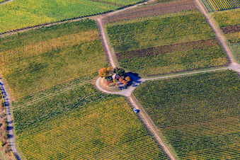 Luftaufnahme von Michaelskapelle im Wingert in Weyher in der Pfalz im Bundesland Rheinland-Pfalz, Deutschland