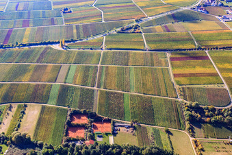 Luftbild von Tennisclub Modenbachtal in Hainfeld im Bundesland Rheinland-Pfalz, Deutschland